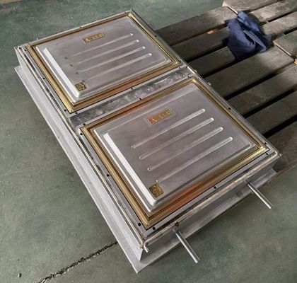 ABS / PA66 / PP / PC / PMMA Plastik Vakum Oluşturma Kapı Kalıbı